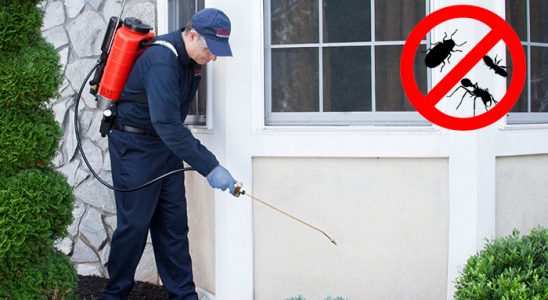 Güzelyurt Fare İlaçlama böcek ilaçlama ve haşere kontrolü — ilaclama-tr.com